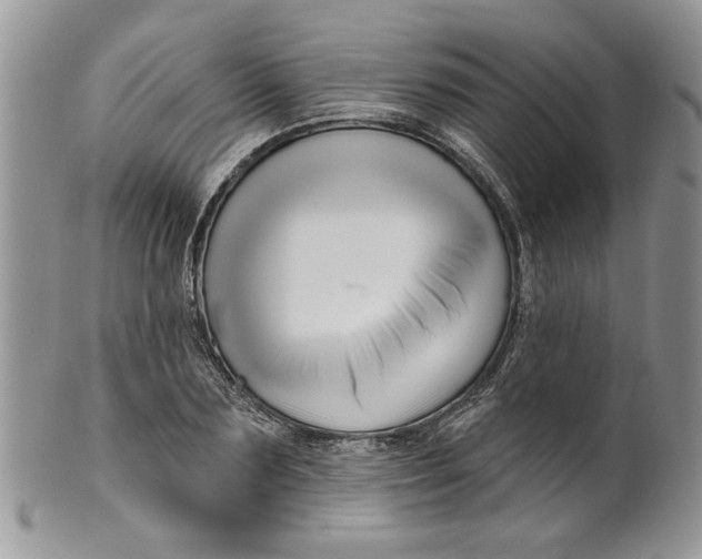 X0000099950883200806131445