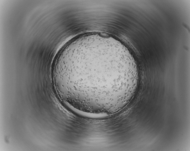 X0000099950884200806131445