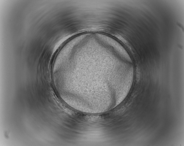 X0000099950886200806131445