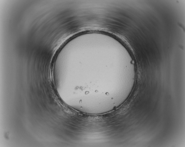 X0000099950887200806131445