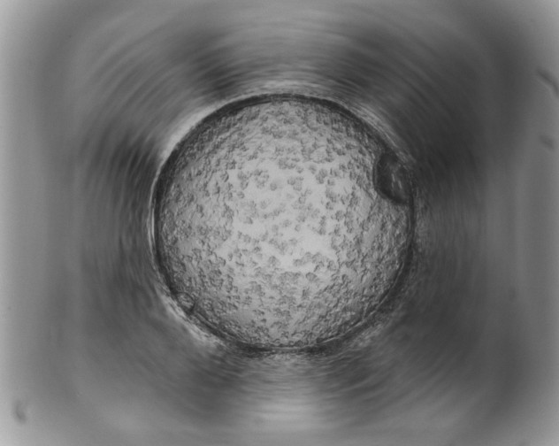 X0000099950888200806131445