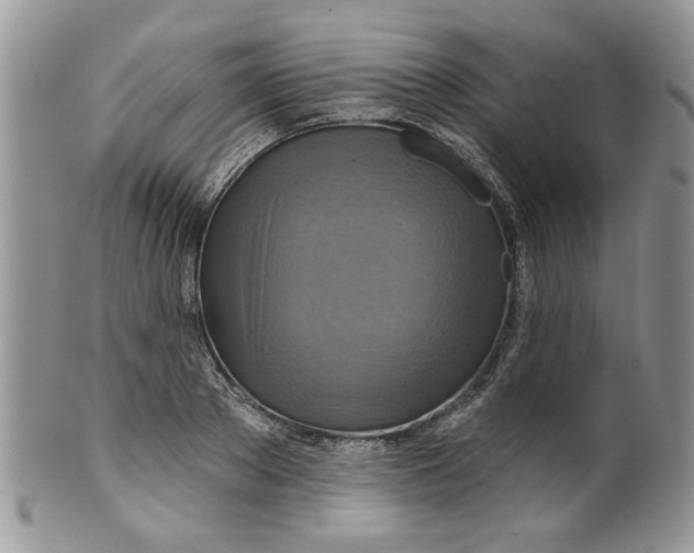 X0000099950889200806131445