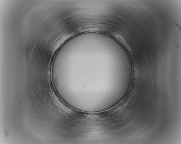 X0000099950890200806131445