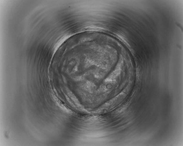 X0000099950891200806131445