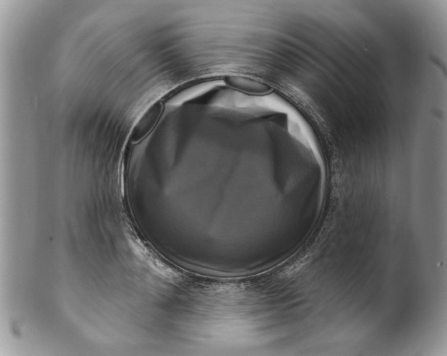 X0000099950892200806131445