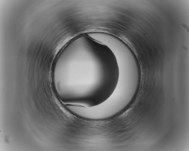 X0000099950893200806131445