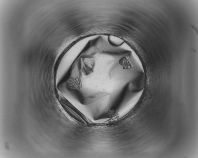 X0000099950894200806131445