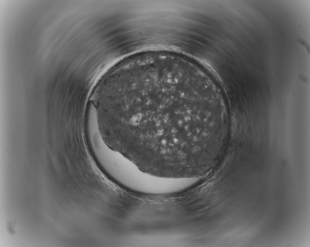 X0000099950895200806131445