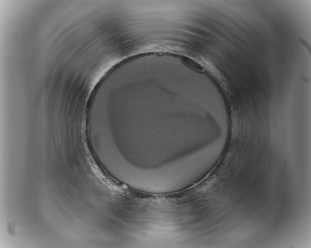 X0000099950896200806131445