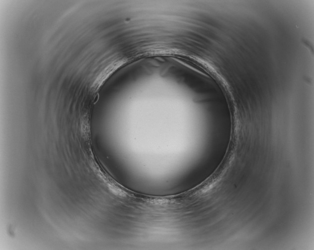 X0000099950897200806131445