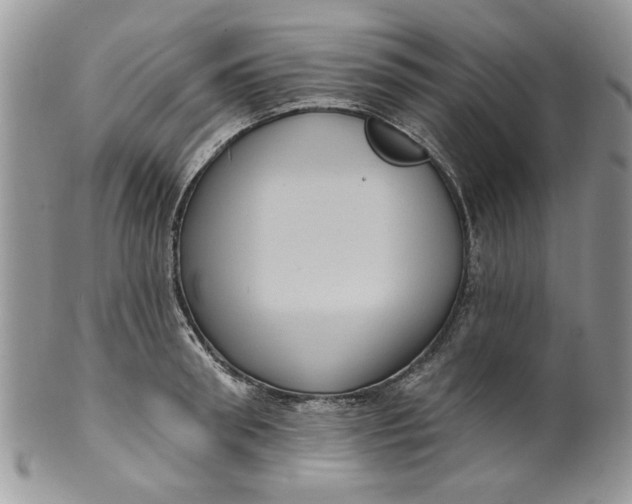 X0000099950898200806131445