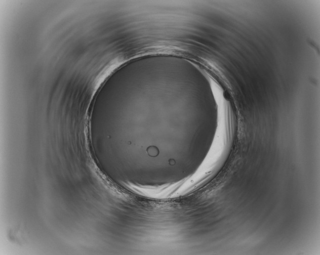 X0000099950899200806131445