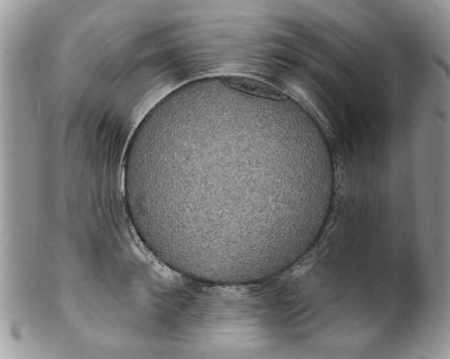 X0000099950900200806131445