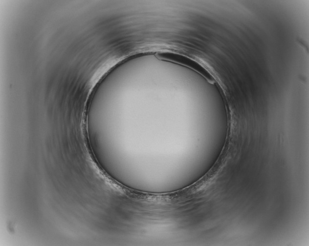 X0000099950901200806131445