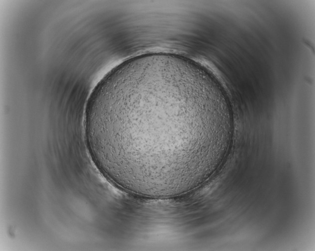 X0000099950902200806131445