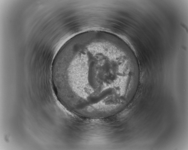 X0000099950903200806131445