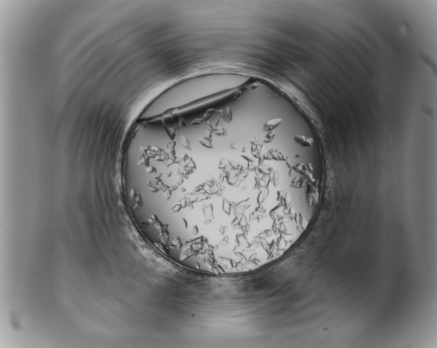 X0000099950904200806131445