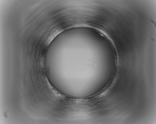 X0000099950905200806131444