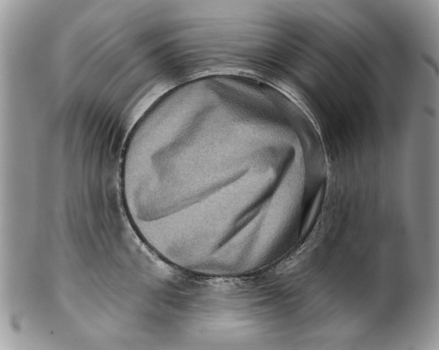 X0000099950906200806131444