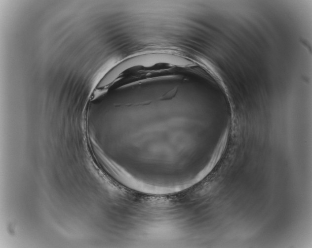 X0000099950907200806131444