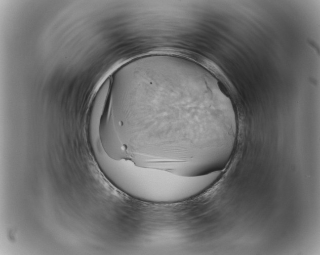 X0000099950908200806131444