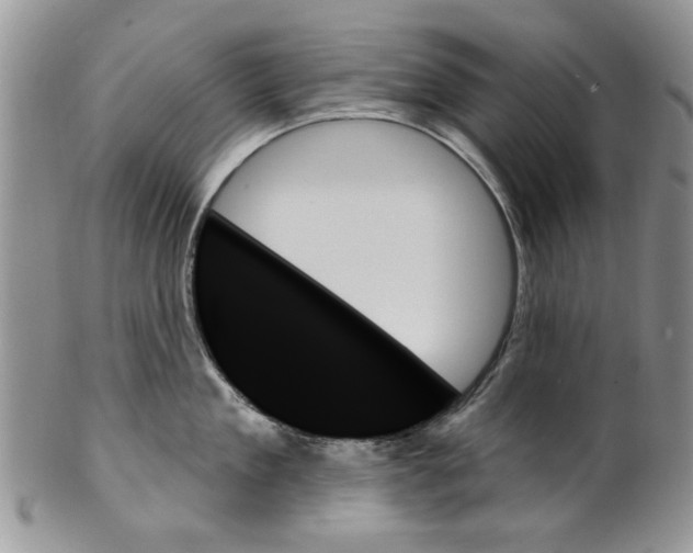 X0000099950909200806131444