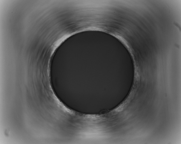 X0000099950910200806131444