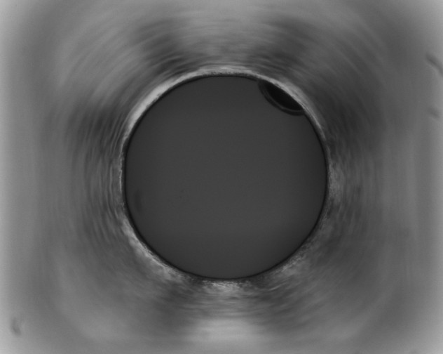 X0000099950911200806131444