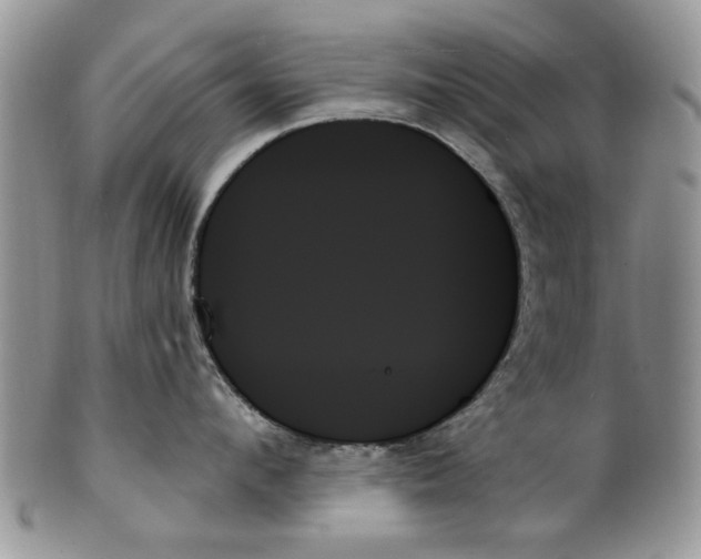 X0000099950912200806131444