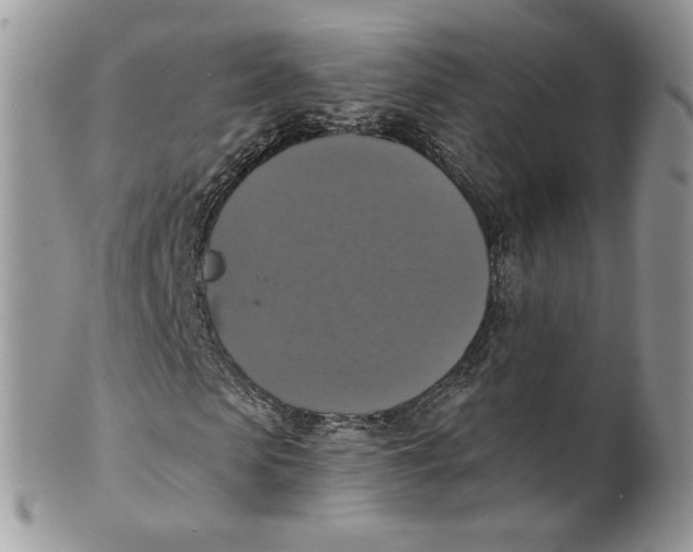 X0000099950913200806131444