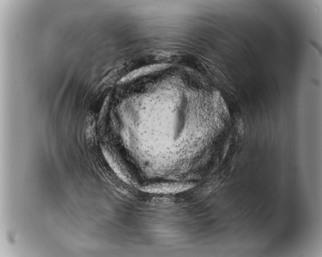 X0000099950914200806131444