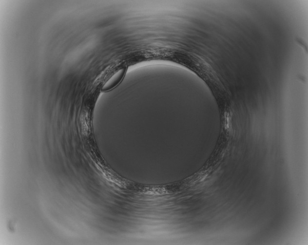 X0000099950915200806131444