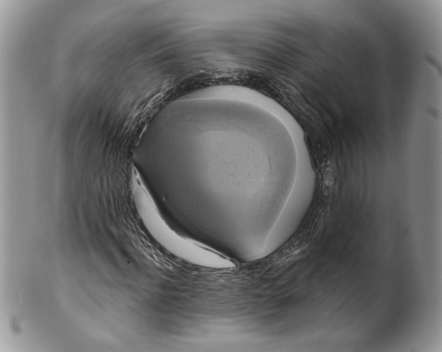 X0000099950916200806131444