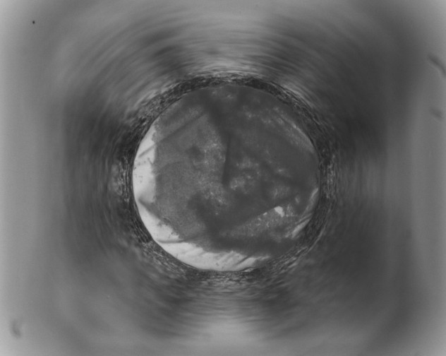 X0000099950917200806131444