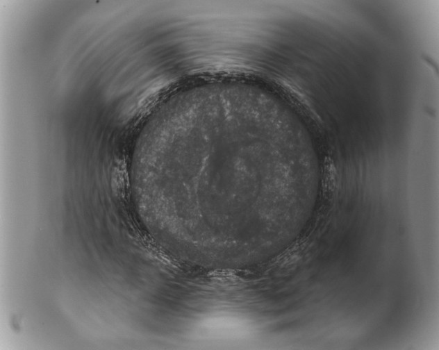 X0000099950918200806131444