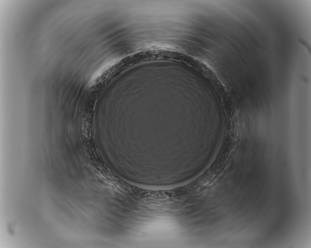 X0000099950919200806131444