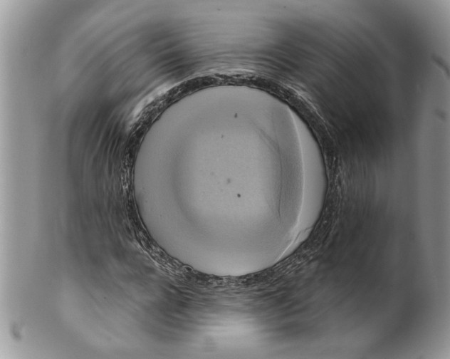 X0000099950920200806131444