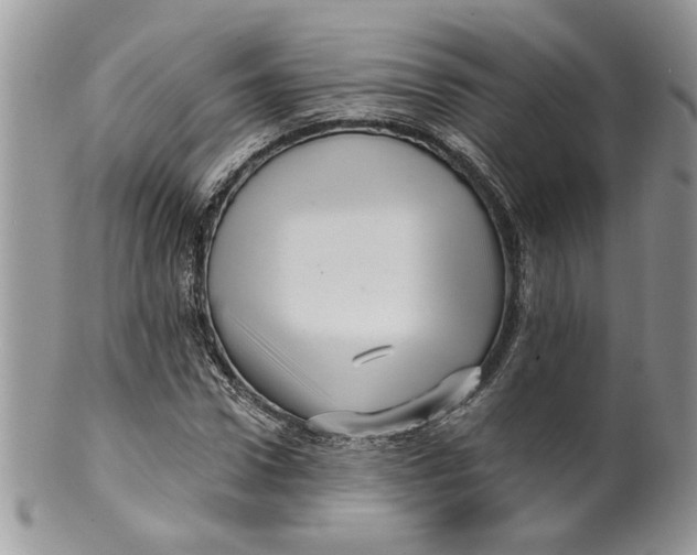 X0000099950922200806131444