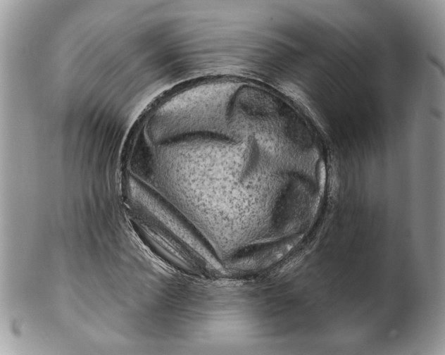 X0000099950924200806131444