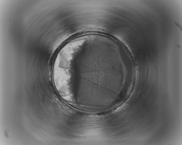 X0000099950925200806131444