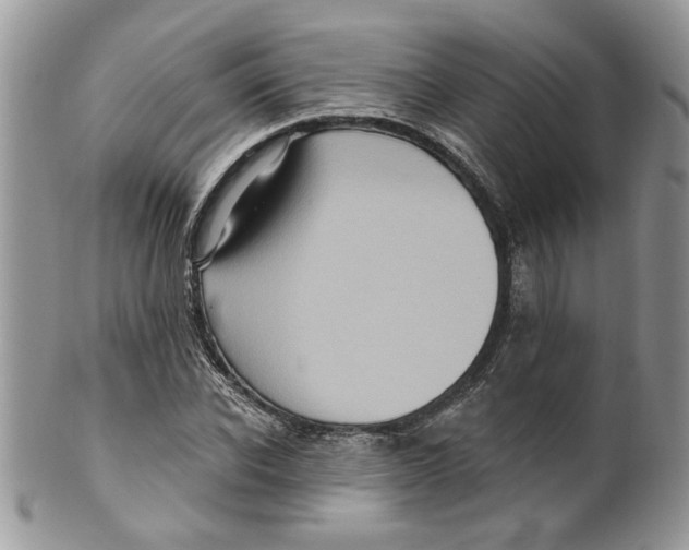 X0000099950926200806131444