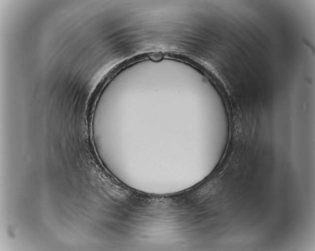 X0000099950927200806131444