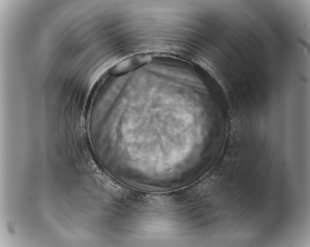 X0000099950928200806131444