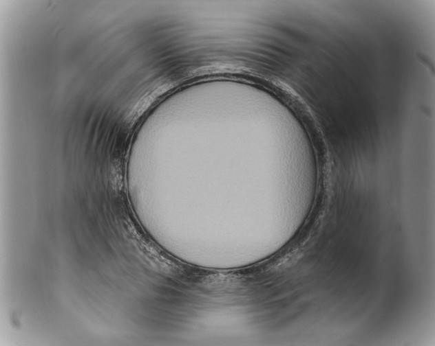 X0000099950929200806131444