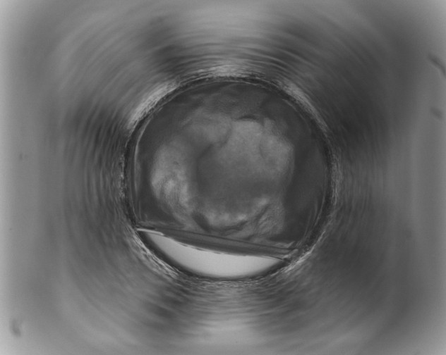 X0000099950930200806131444