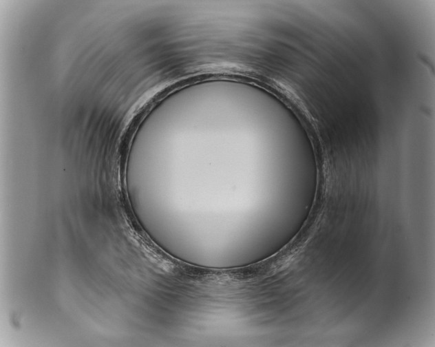 X0000099950931200806131444