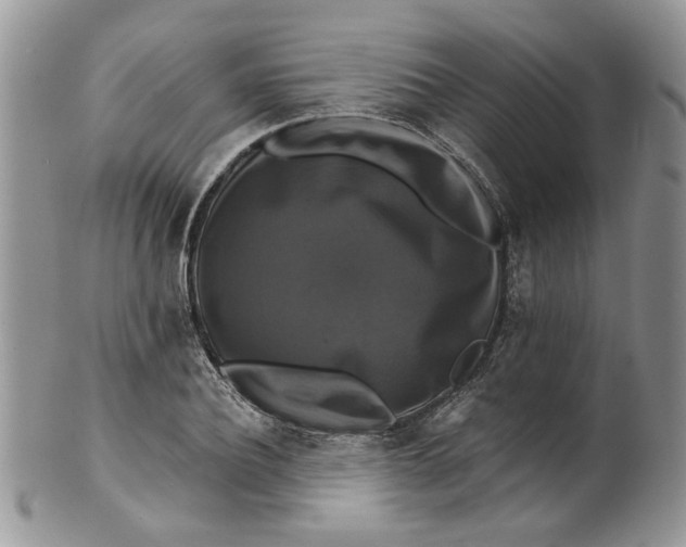 X0000099950932200806131444