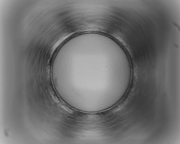 X0000099950933200806131444