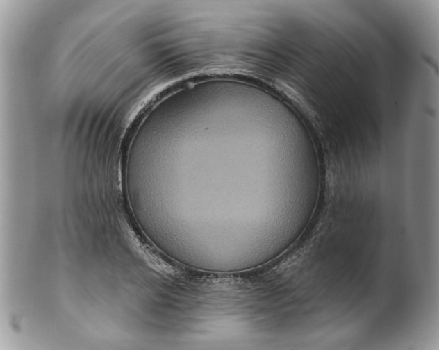 X0000099950934200806131444