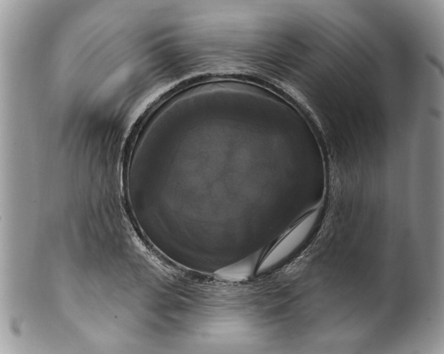 X0000099950935200806131444